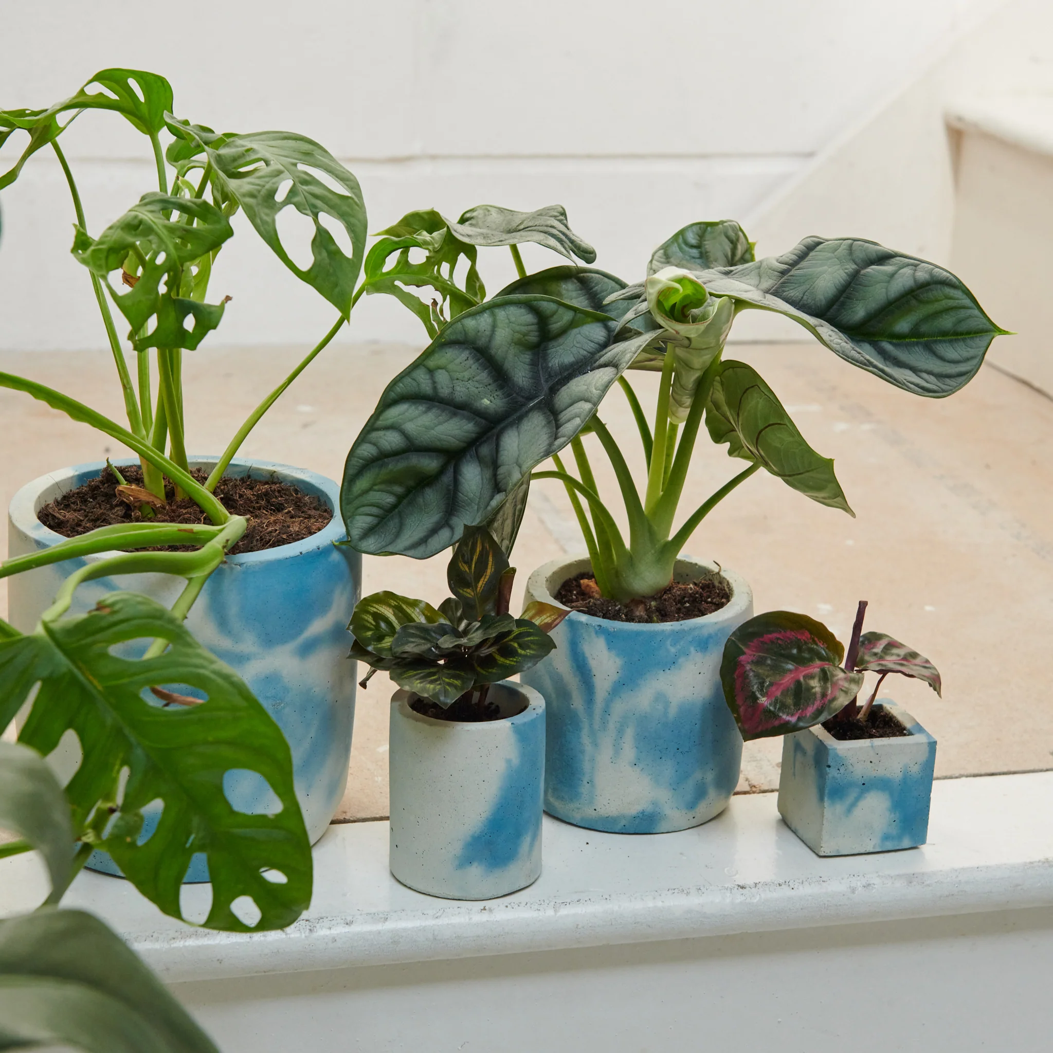 Concrete Cube Pot - Small - Image 10