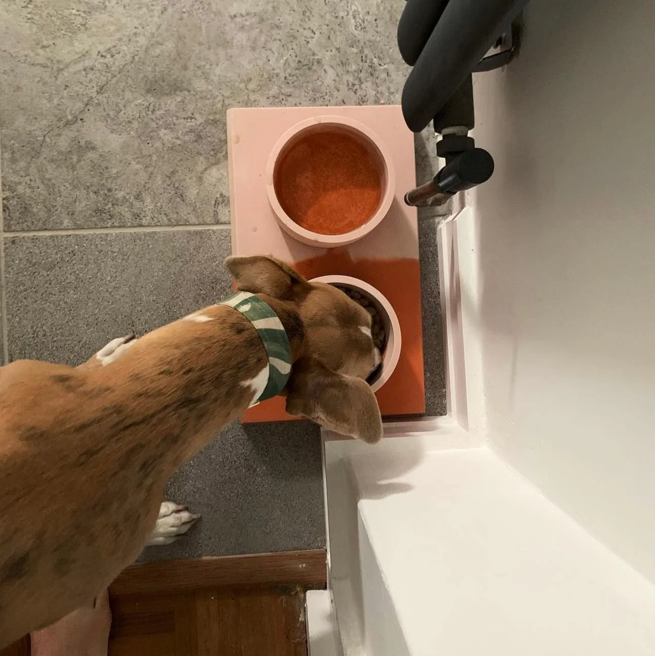 Concrete Pet Bowl - Image 12