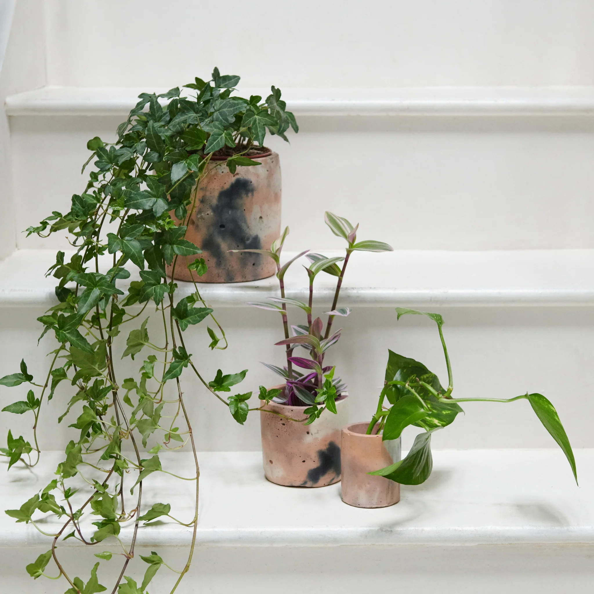 Concrete Pot Set - Small, Medium and Large - Image 10