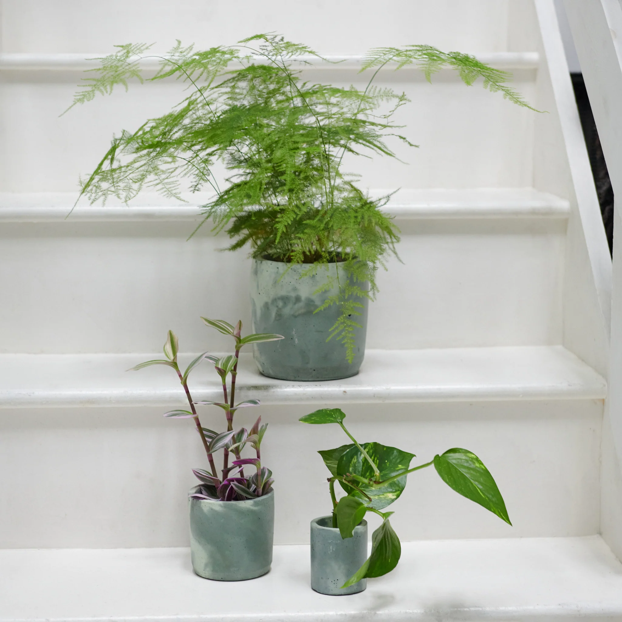 Concrete Pot Set - Small, Medium and Large - Image 12