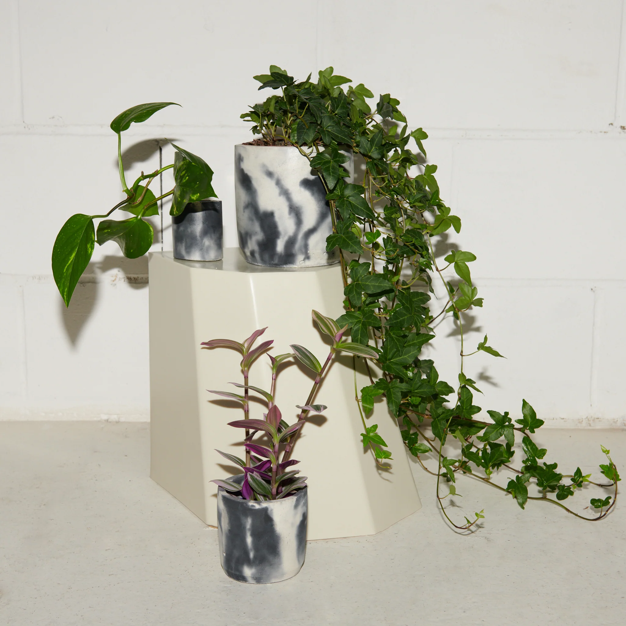 Concrete Pot Set - Small, Medium and Large - Image 14