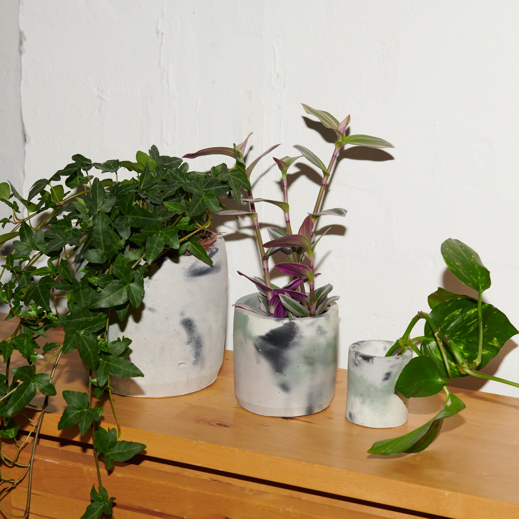 Concrete Pot Set - Small, Medium and Large - Image 16