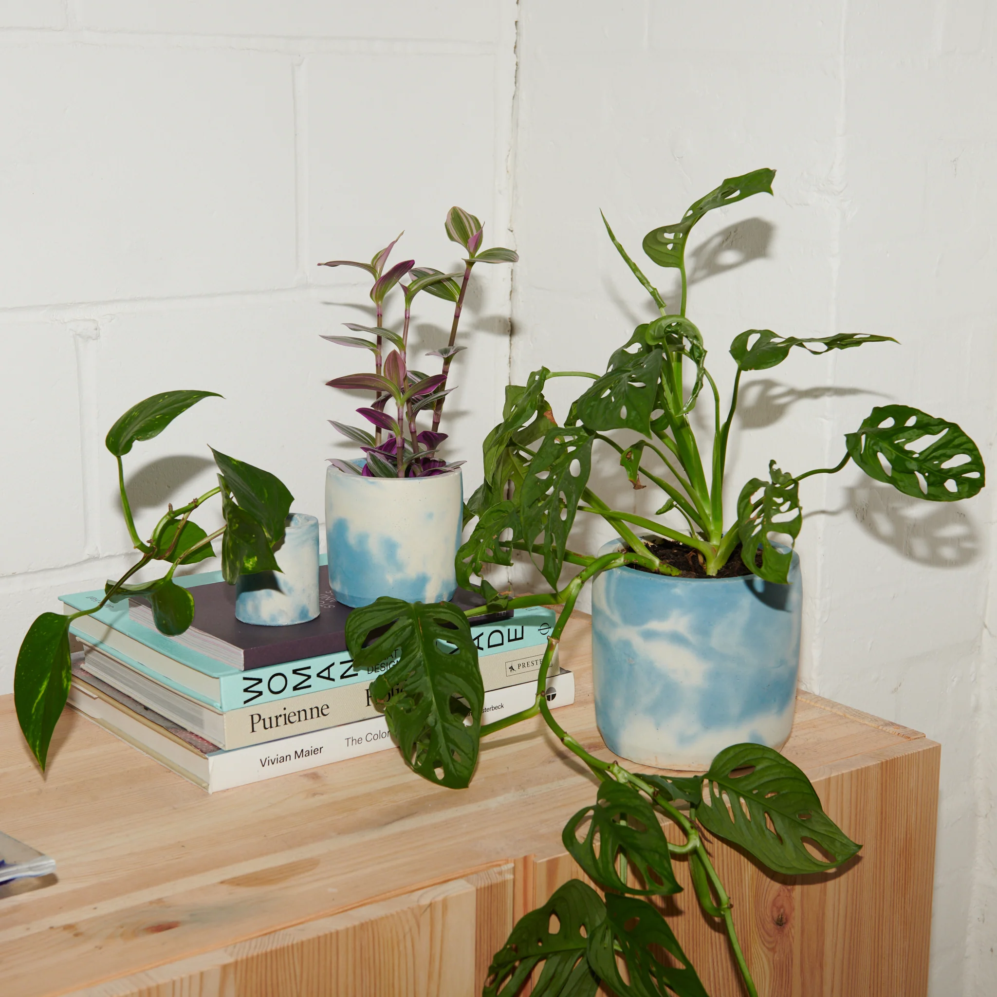 Concrete Pot Set - Small, Medium and Large - Image 2