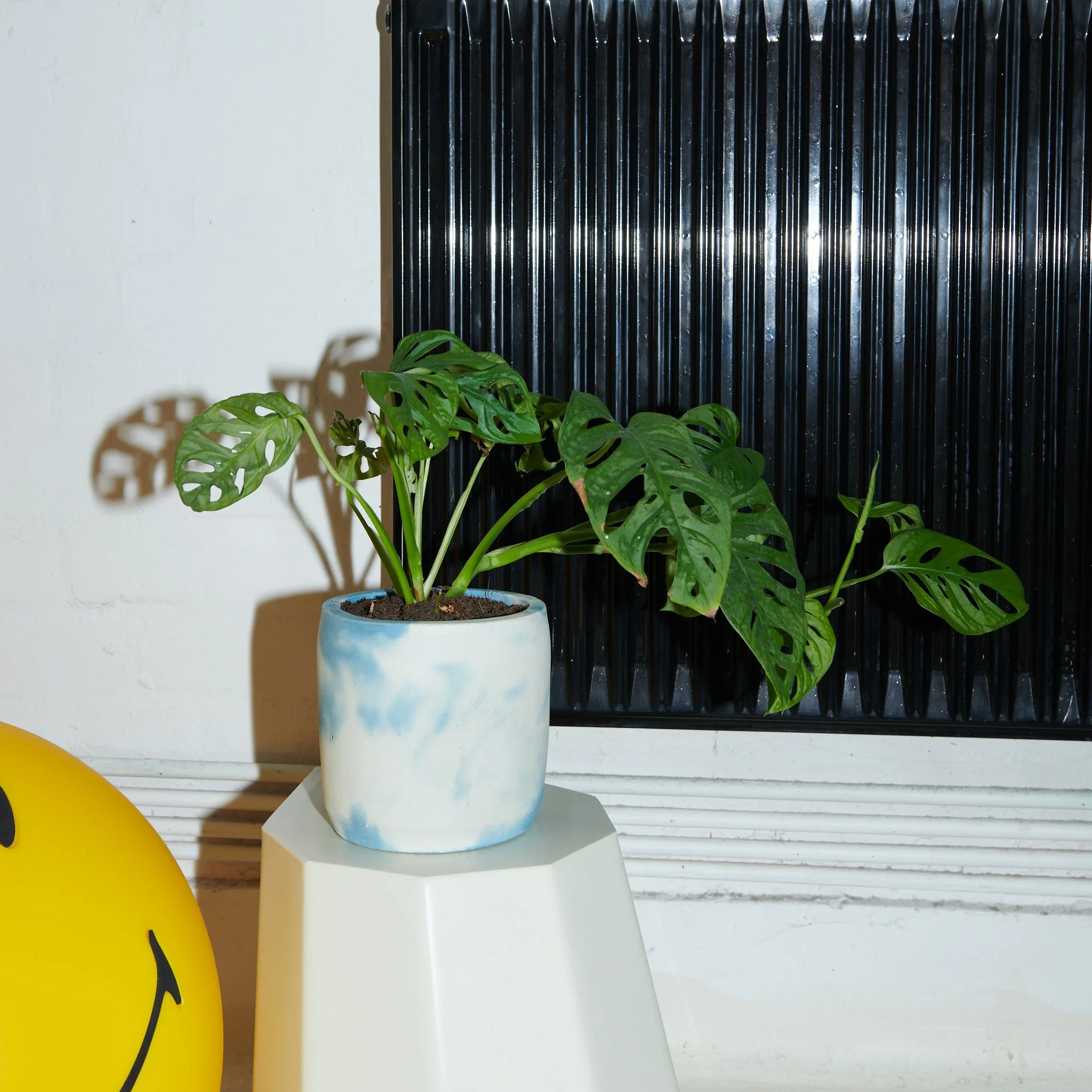 Concrete Pot Set - Small, Medium and Large - Image 7