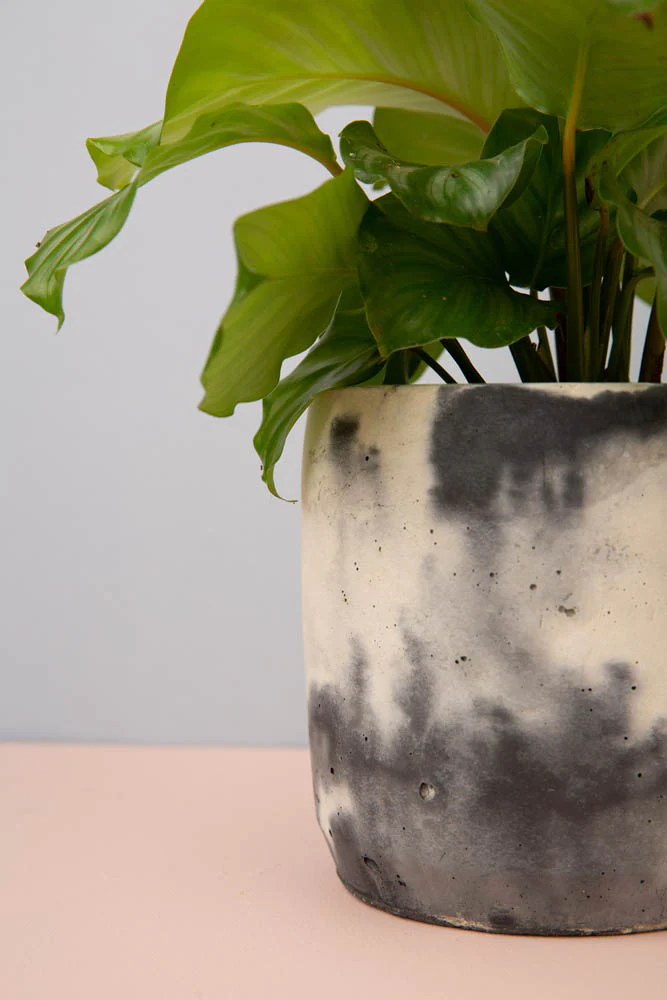 Cylinder Concrete Pot - Large - Image 6