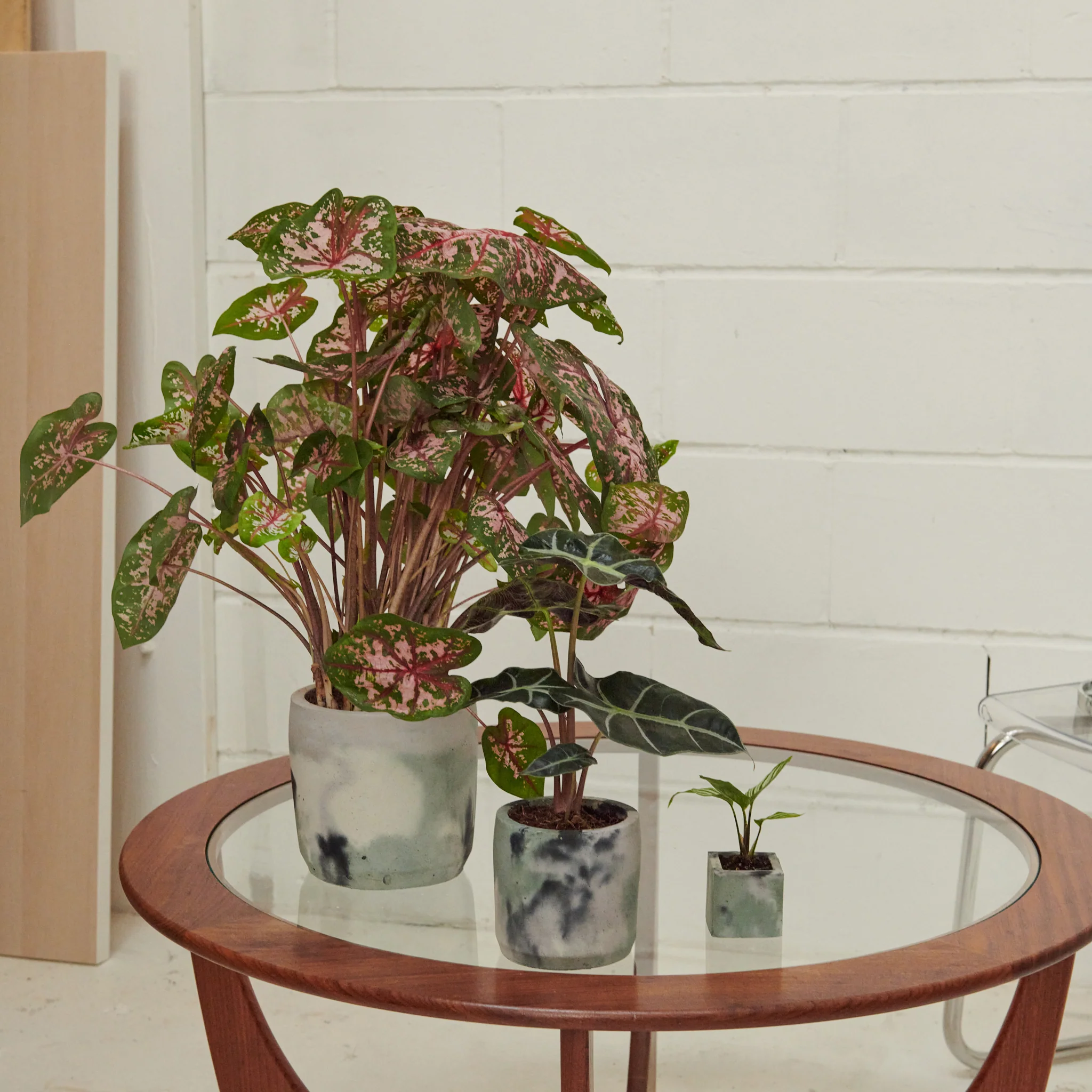 Cylinder Concrete Pot - Medium - Image 12