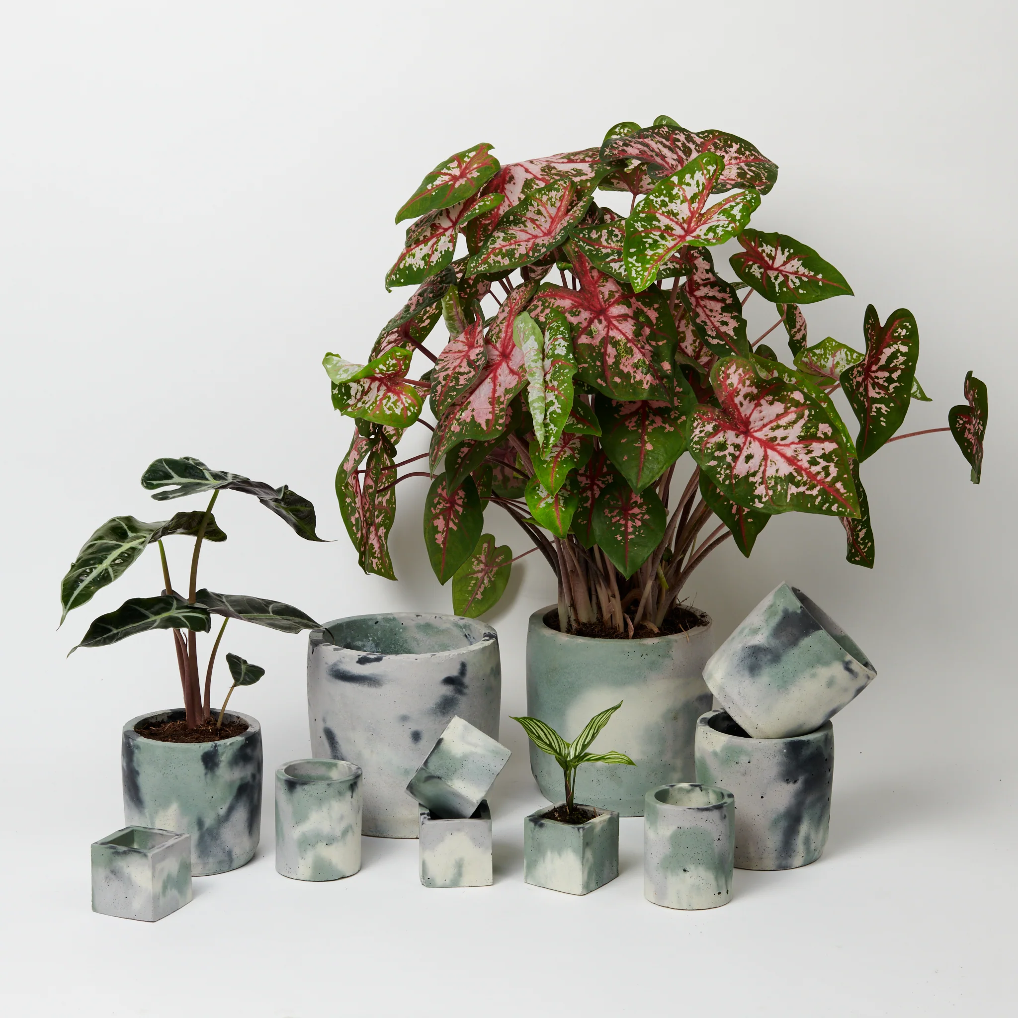 Cylinder Concrete Pot - Medium - Image 9